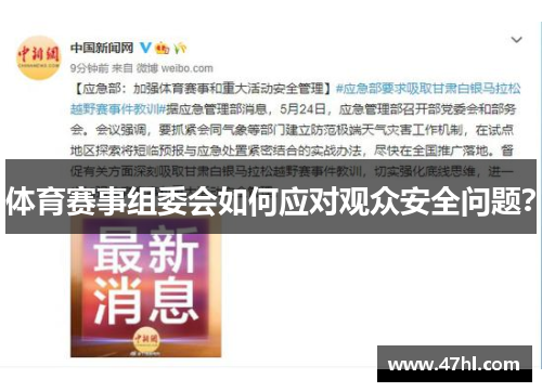 体育赛事组委会如何应对观众安全问题？